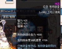 dnf平民奶爸打团_dnf奶爸和奶妈哪个更平民