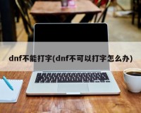 dnf不能打字_dnf不能打字 只有字母